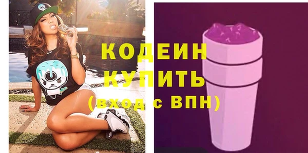 дмт Богородицк