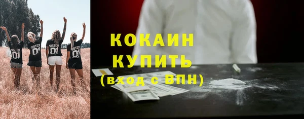 дмт Богородицк
