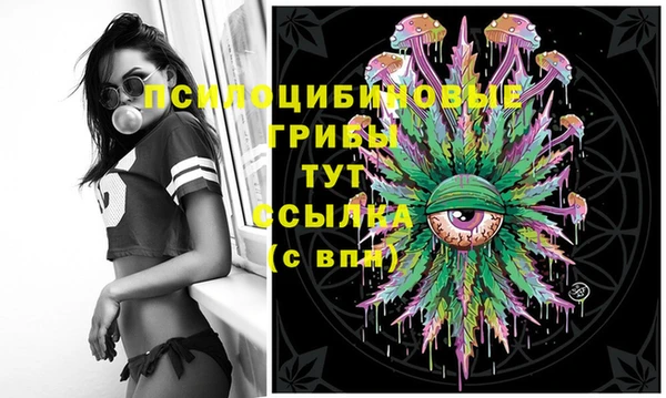 дмт Богородицк