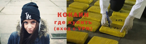 дмт Богородицк