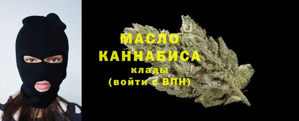дмт Богородицк