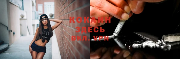 дмт Богородицк