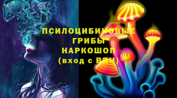 сатива Богородск