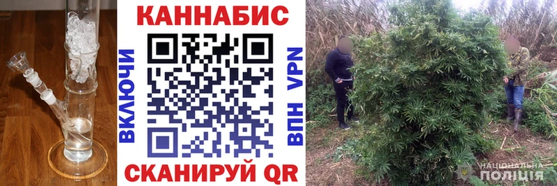 Бошки марихуана SATIVA & INDICA Бугуруслан